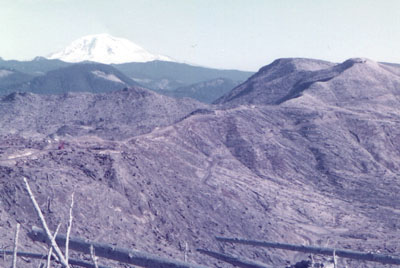 "St Helens blowdown with Mt Adams in background. 1983"